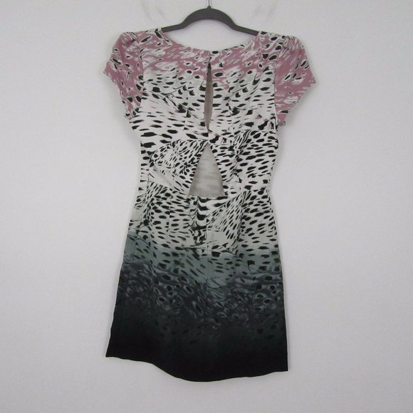 Silence + Noise Multi Color Ombre Cheetah Print Dress - Picture 4 of 9